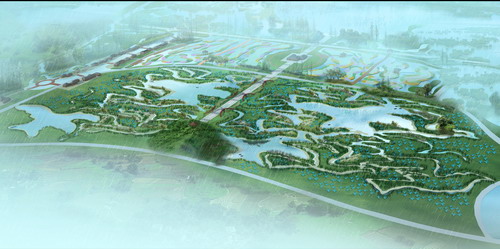 湿地湖泊创新设计：万鸟齐飞大地景观