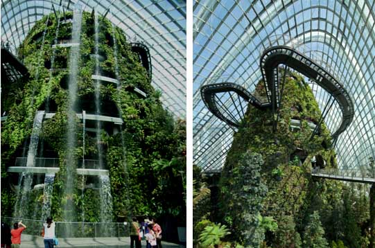 新加坡滨海湾花园冷却温室馆